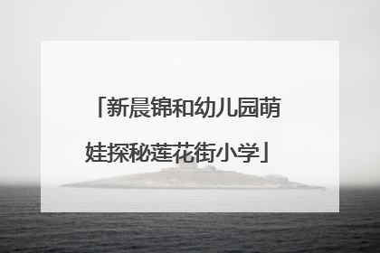 新晨锦和幼儿园萌娃探秘莲花街小学