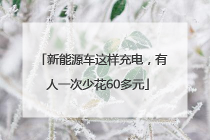 新能源车这样充电，有人一次少花60多元