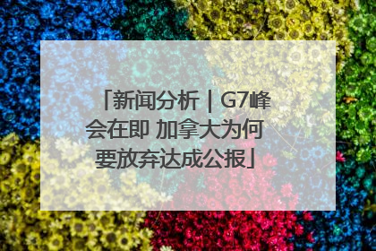 新闻分析｜G7峰会在即 加拿大为何要放弃达成公报