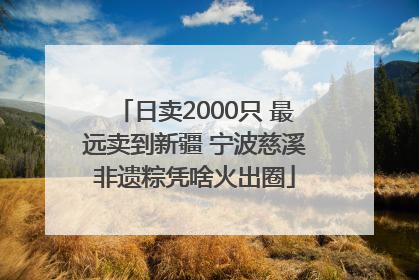 日卖2000只 最远卖到新疆 宁波慈溪非遗粽凭啥火出圈