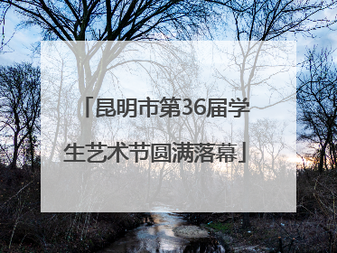 昆明市第36届学生艺术节圆满落幕