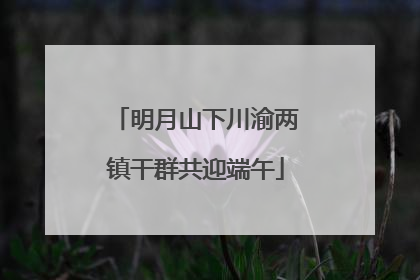 明月山下川渝两镇干群共迎端午