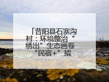 昔阳县石寨沟村：环境整治“绣出”生态画卷 “民宿+”撬动农文旅融合