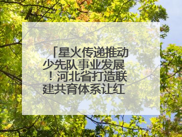 星火传递推动少先队事业发展！河北省打造联建共育体系让红领巾更鲜艳