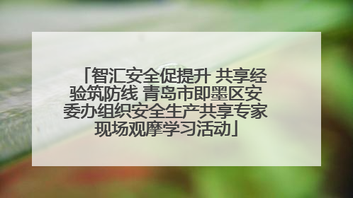 智汇安全促提升 共享经验筑防线 青岛市即墨区安委办组织安全生产共享专家现场观摩学习活动