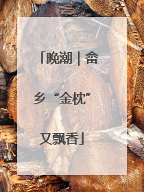 晚潮｜畲乡“金枕”又飘香