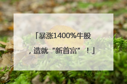 暴涨1400%牛股，造就“新首富”！