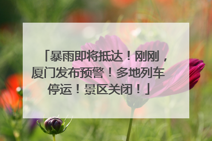 暴雨即将抵达！刚刚，厦门发布预警！多地列车停运！景区关闭！