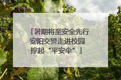 暑期将至安全先行 安阳交警走进校园撑起“平安伞”