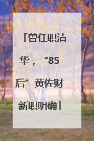 曾任职清华，“85后”黄佐财新职明确
