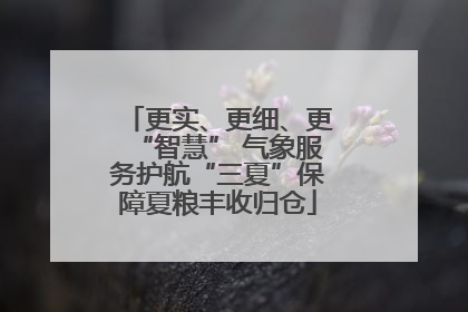 更实、更细、更“智慧” 气象服务护航“三夏”保障夏粮丰收归仓