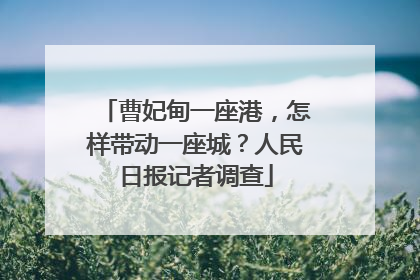 曹妃甸一座港，怎样带动一座城？人民日报记者调查