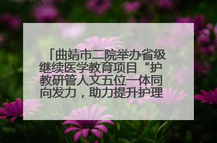 曲靖市二院举办省级继续医学教育项目“护教研管人文五位一体同向发力，助力提升护理效能学习班”