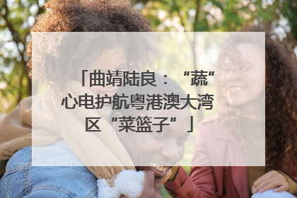 曲靖陆良：“蔬”心电护航粤港澳大湾区“菜篮子”