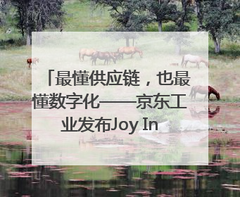 最懂供应链，也最懂数字化——京东工业发布Joy Industrial 重塑工业未来