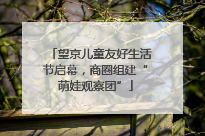 望京儿童友好生活节启幕，商圈组建“萌娃观察团”