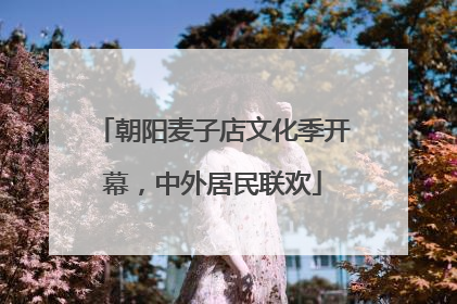 朝阳麦子店文化季开幕，中外居民联欢