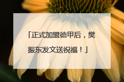 正式加盟德甲后，樊振东发文送祝福！