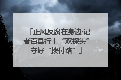 正风反腐在身边·记者百县行丨“双探头”守好“拨付路”