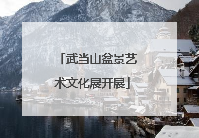 武当山盆景艺术文化展开展