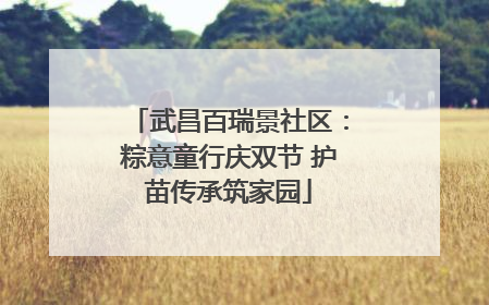 武昌百瑞景社区：粽意童行庆双节 护苗传承筑家园