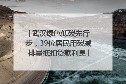 武汉绿色低碳先行一步，39位居民用碳减排量抵扣贷款利息
