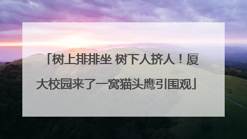 树上排排坐 树下人挤人！厦大校园来了一窝猫头鹰引围观