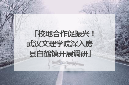 校地合作促振兴！武汉文理学院深入房县白鹤镇开展调研