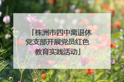 株洲市四中离退休党支部开展党员红色教育实践活动