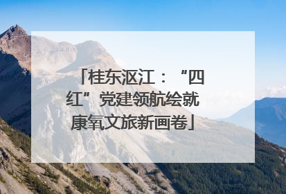 桂东沤江：“四红”党建领航绘就康氧文旅新画卷