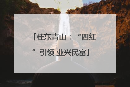 桂东青山：“四红”引领 业兴民富