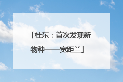 桂东：首次发现新物种——宽距兰
