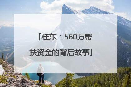 桂东：560万帮扶资金的背后故事
