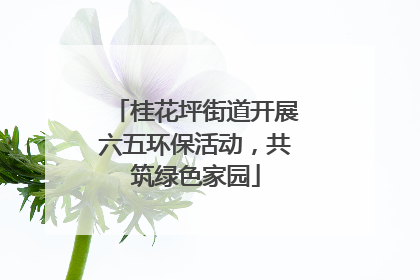 桂花坪街道开展六五环保活动，共筑绿色家园