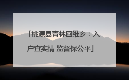 桃源县青林回维乡：入户查实情 监督保公平
