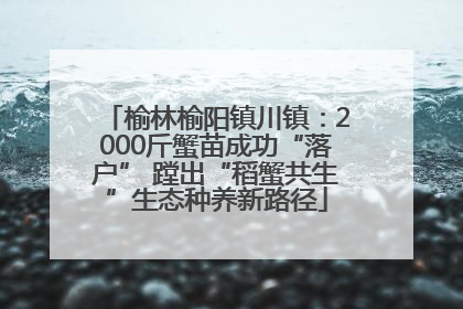 榆林榆阳镇川镇：2000斤蟹苗成功“落户” 蹚出“稻蟹共生”生态种养新路径