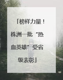 榜样力量！株洲一批“热血英雄”受省级表彰