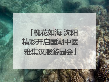 槐花如海 沈阳精彩开启国潮中医雅集汉服游园会