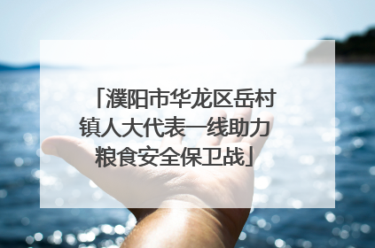 濮阳市华龙区岳村镇人大代表一线助力粮食安全保卫战