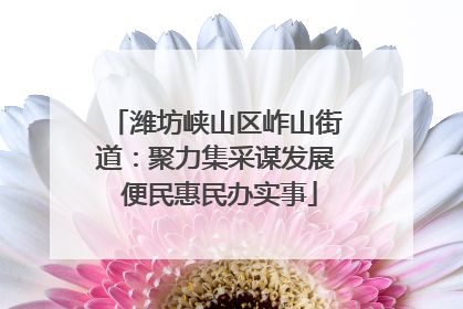 潍坊峡山区岞山街道：聚力集采谋发展 便民惠民办实事