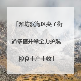 潍坊滨海区央子街道多措并举全力护航粮食丰产丰收