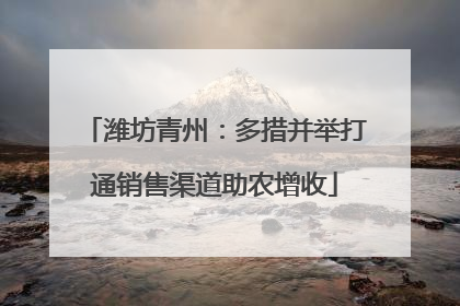 潍坊青州：多措并举打通销售渠道助农增收