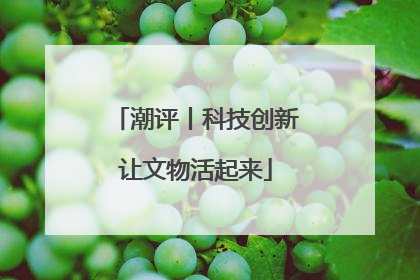 潮评丨科技创新让文物活起来
