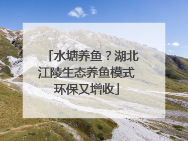 水塘养鱼？湖北江陵生态养鱼模式环保又增收