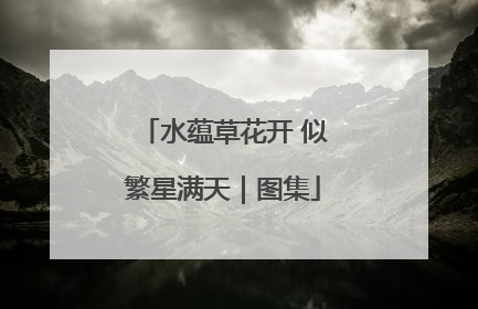 水蕴草花开 似繁星满天｜图集