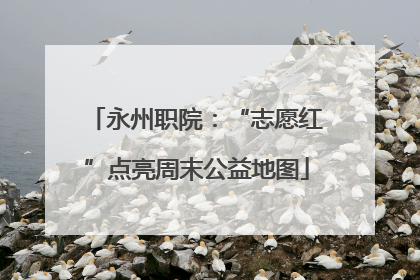 永州职院：“志愿红”点亮周末公益地图