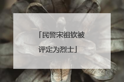 民警宋祖钦被评定为烈士