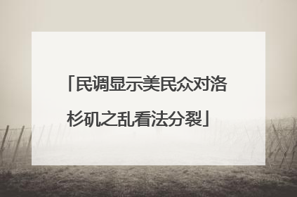 民调显示美民众对洛杉矶之乱看法分裂