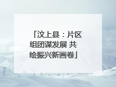 汶上县：片区组团谋发展 共绘振兴新画卷