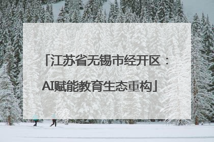 江苏省无锡市经开区：AI赋能教育生态重构